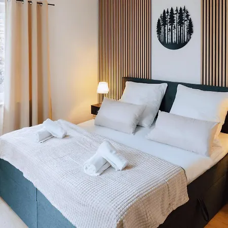 Marktplatz-flair Mit Dachterrasse Im Zentrum Lägenhet Freudenstadt